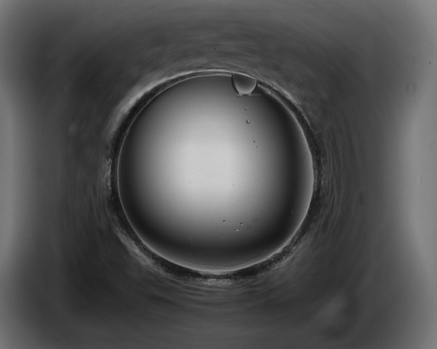 X0000085051503200703051403