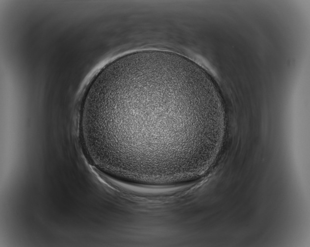 X0000085051504200703051403
