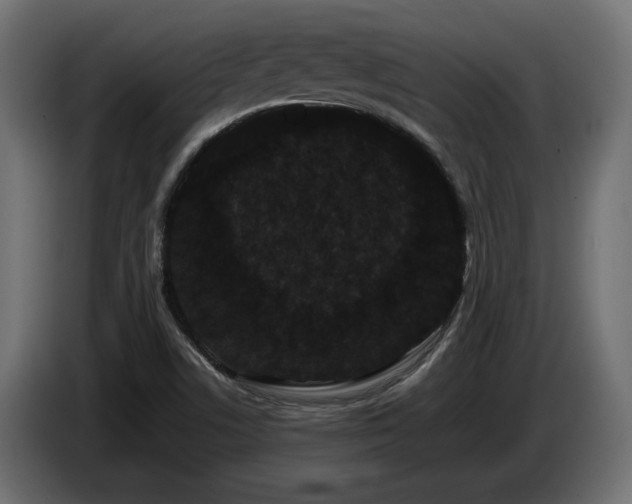 X0000085051506200703051403