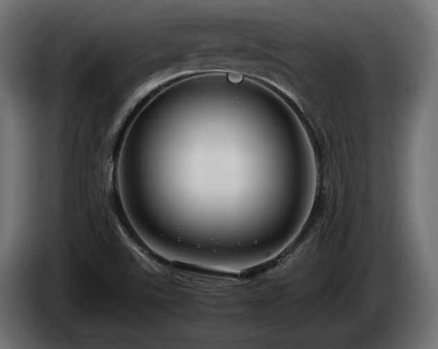 X0000085051507200703051403
