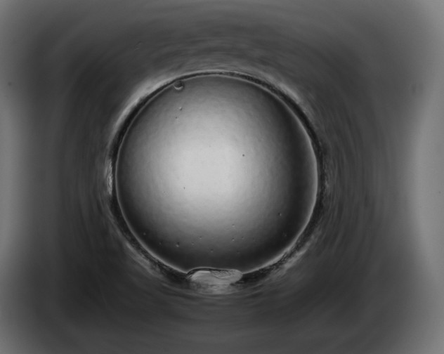 X0000085051509200703051403