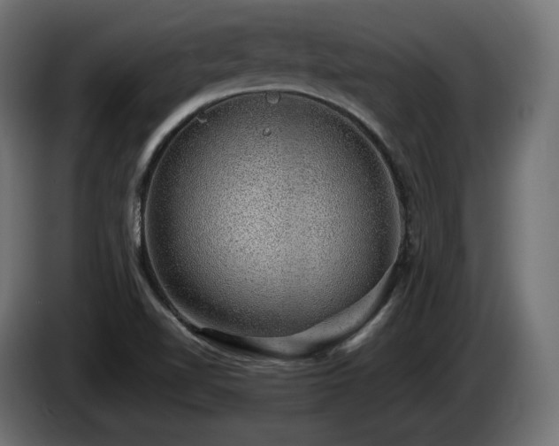 X0000085051510200703051403