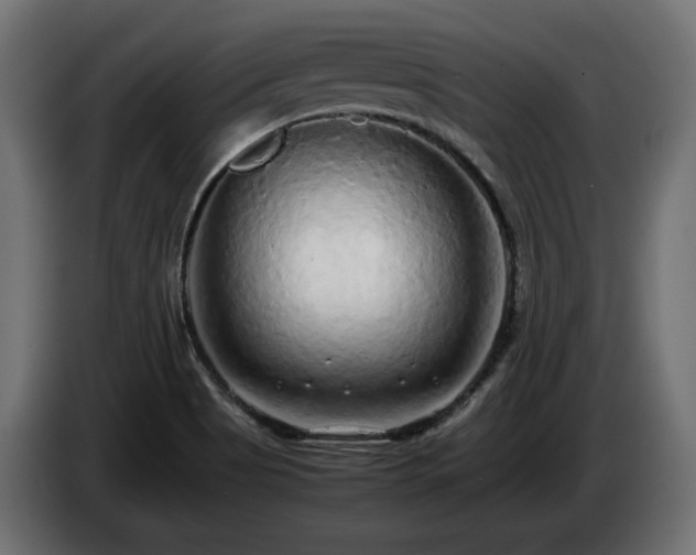 X0000085051513200703051403