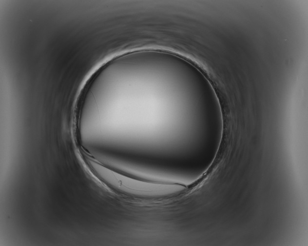 X0000085051518200703051403