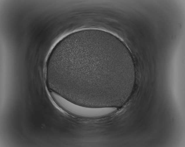 X0000085051519200703051403