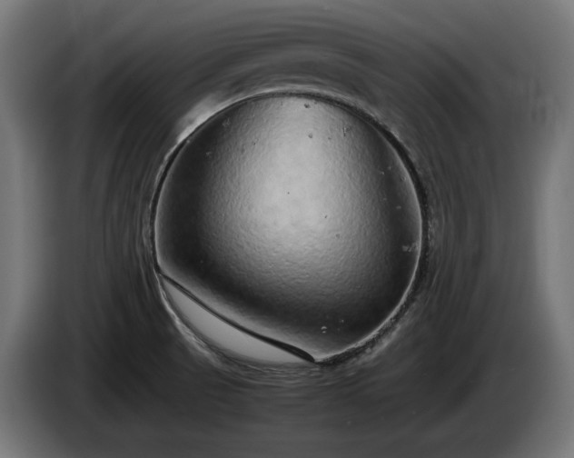 X0000085051521200703051403