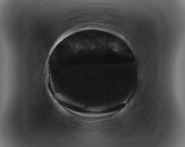 X0000085051522200703051403