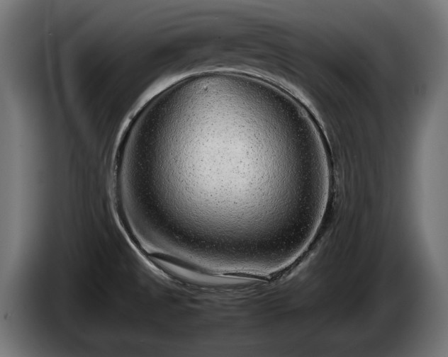 X0000085051525200703051403
