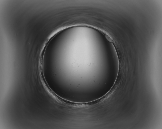 X0000085051526200703051403