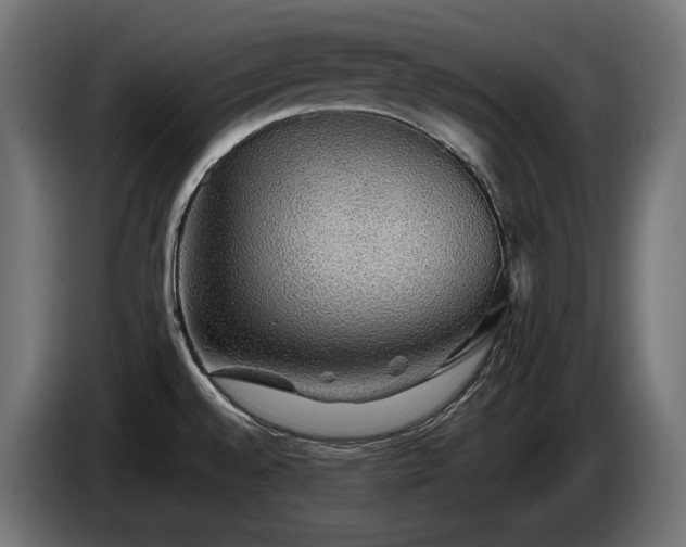 X0000085051528200703051403