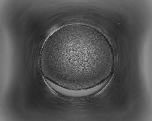 X0000085051529200703051403