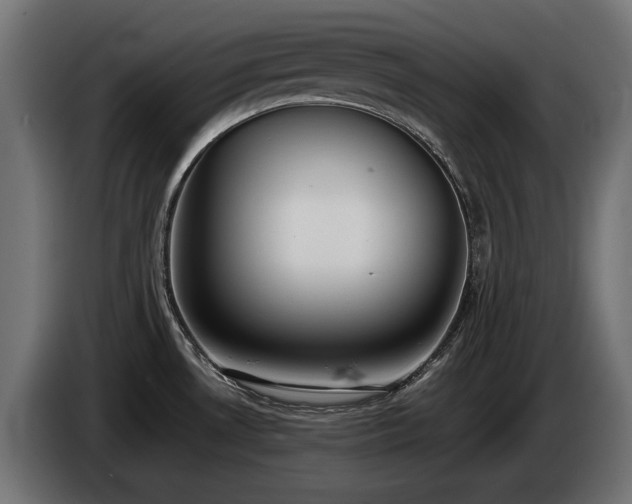 X0000085051530200703051403