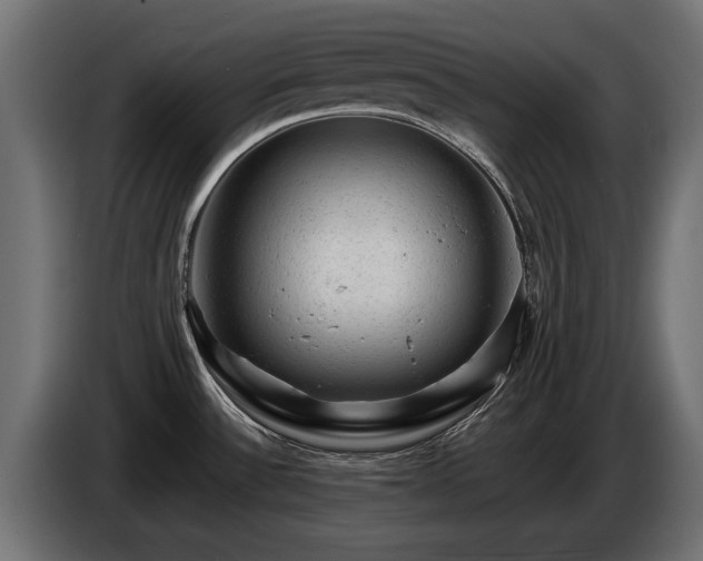 X0000085051532200703051403