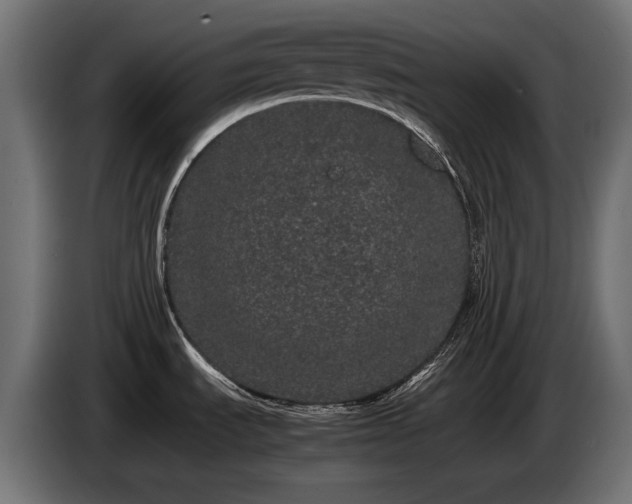 X0000085051535200703051404