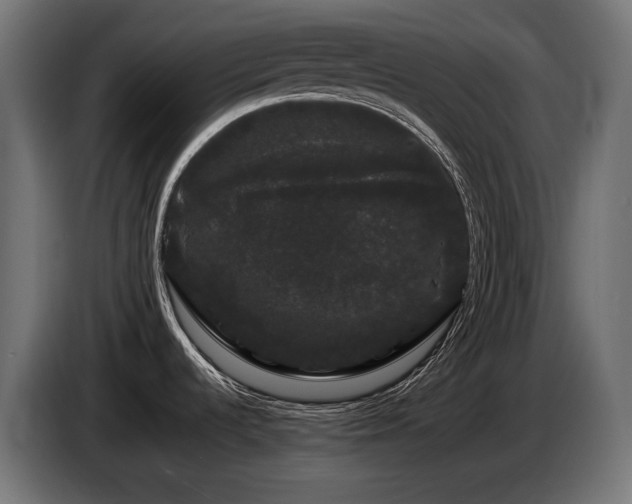 X0000085051536200703051404