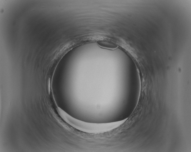 X0000085050013200703121511