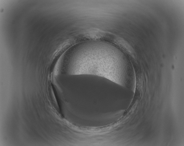 X0000085050023200703121511