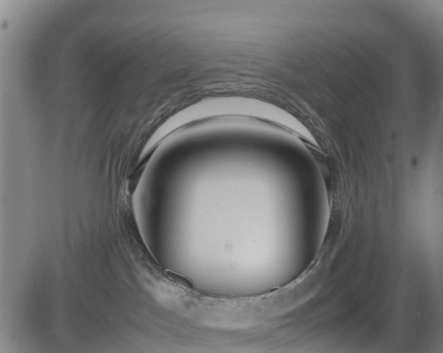 X0000085050045200703121510