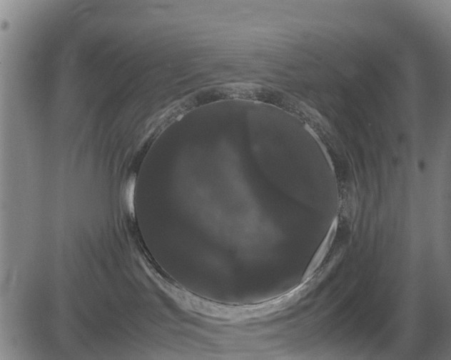 X0000085050047200703121510
