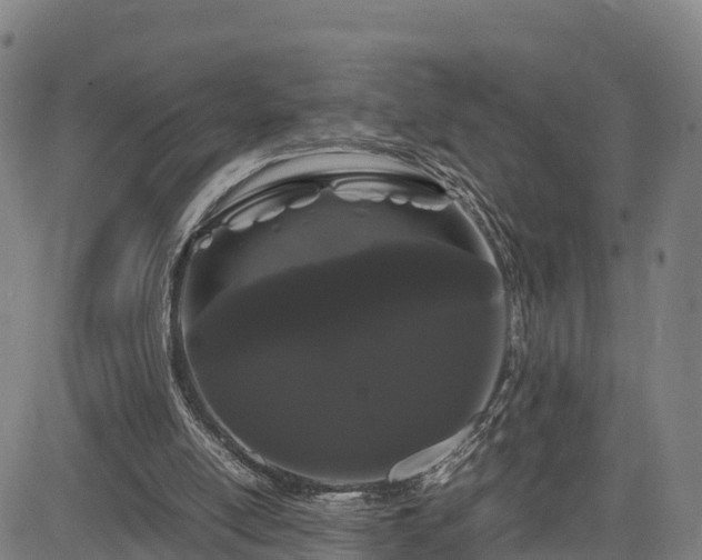 X0000085050054200703121510