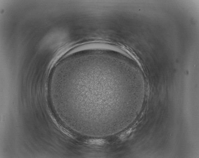 X0000085050055200703121510