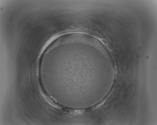 X0000085050056200703121510