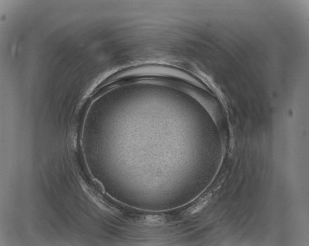 X0000085050060200703121510