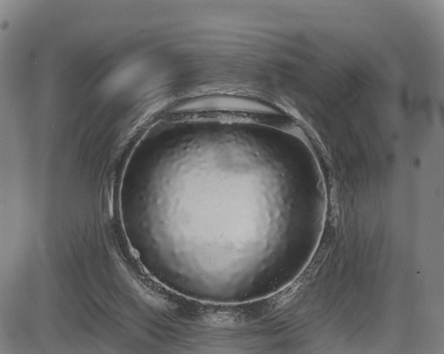 X0000085050062200703121510