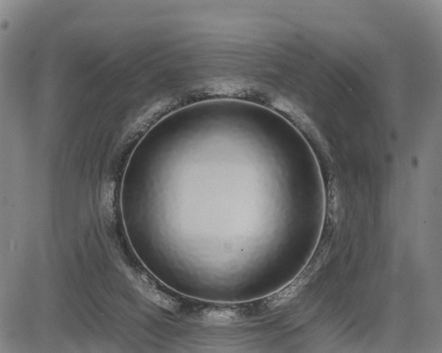 X0000085050066200703121510