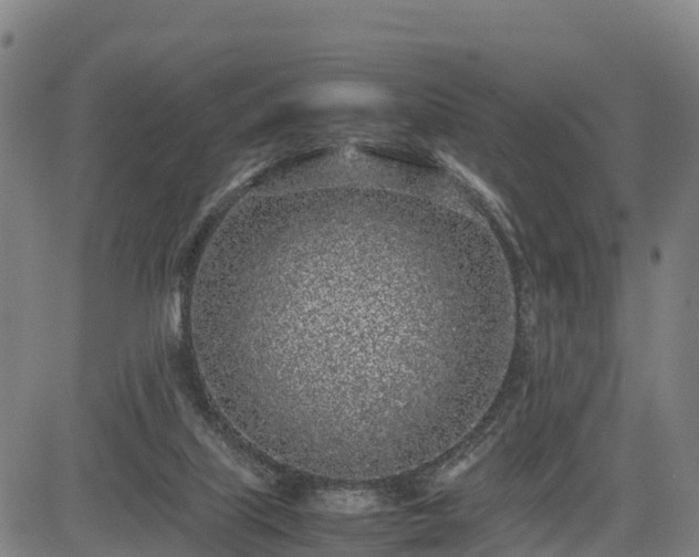 X0000085050067200703121510