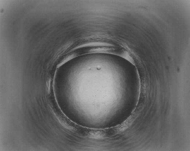 X0000085050070200703121510