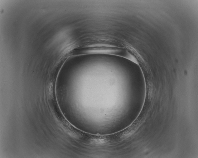 X0000085050071200703121510