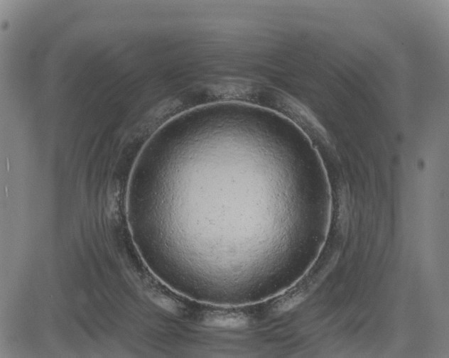 X0000085050073200703121510