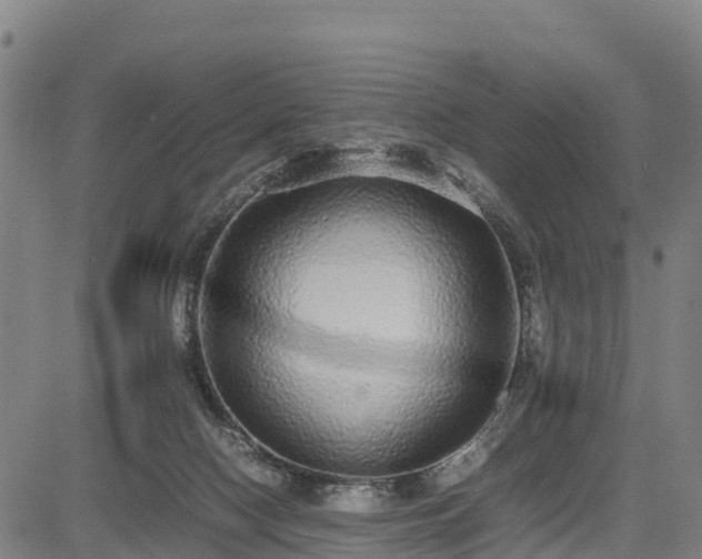 X0000085050074200703121510