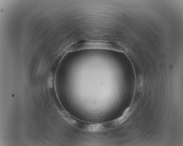 X0000085050090200703121510