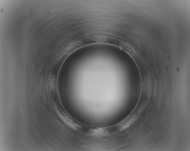 X0000085050092200703121510