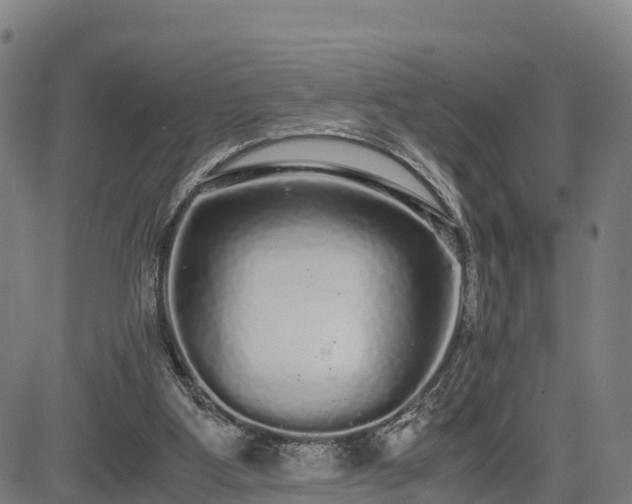 X0000085050107200703121509