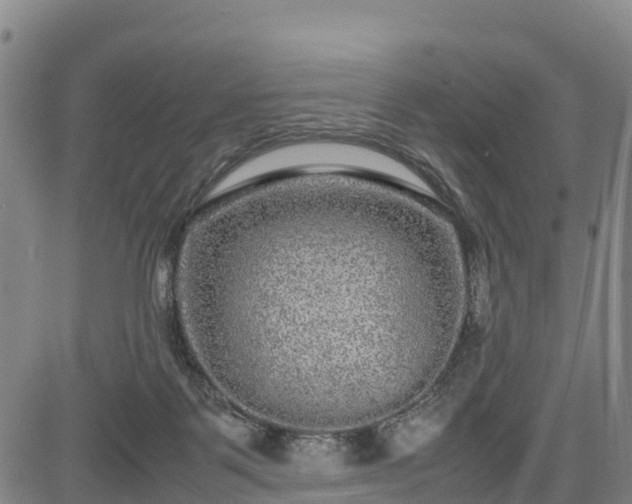 X0000085050123200703121509