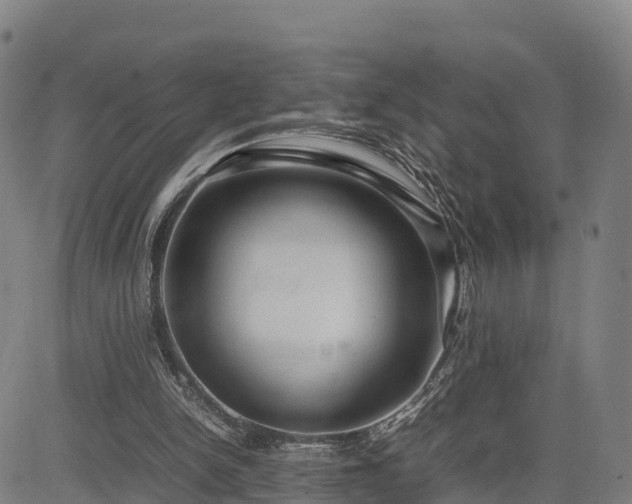 X0000085050150200703121508