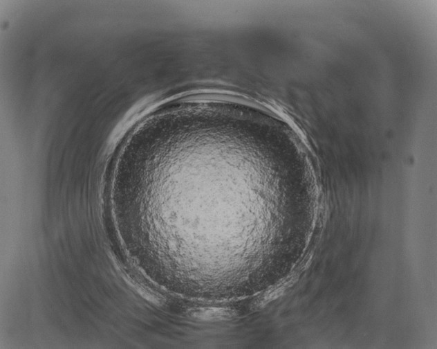 X0000085050151200703121508
