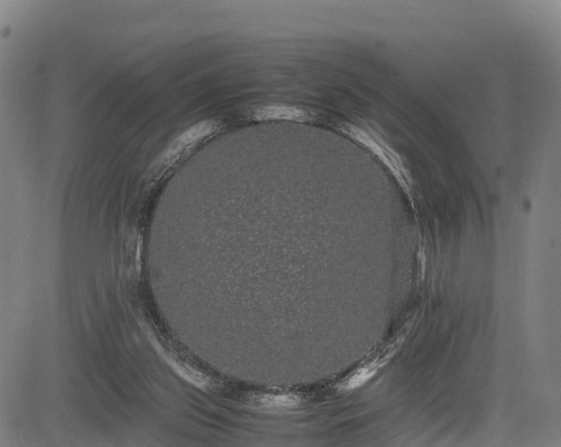 X0000085050157200703121508