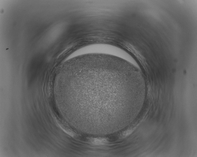 X0000085050165200703121508