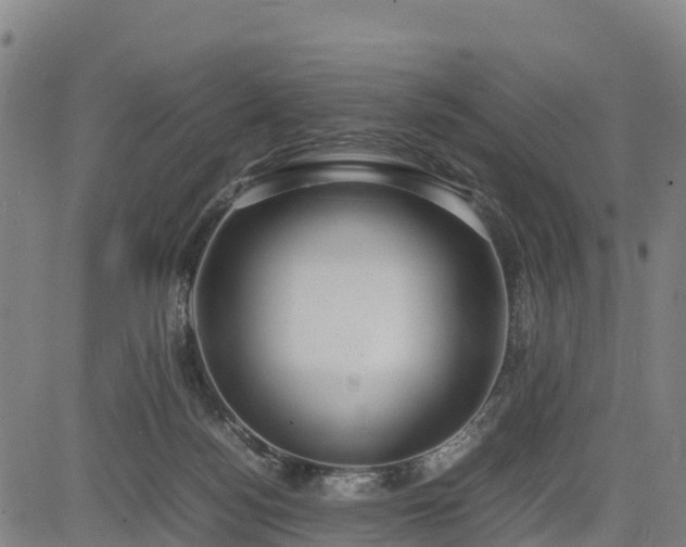 X0000085050172200703121508