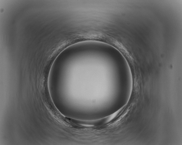X0000085050201200703121508