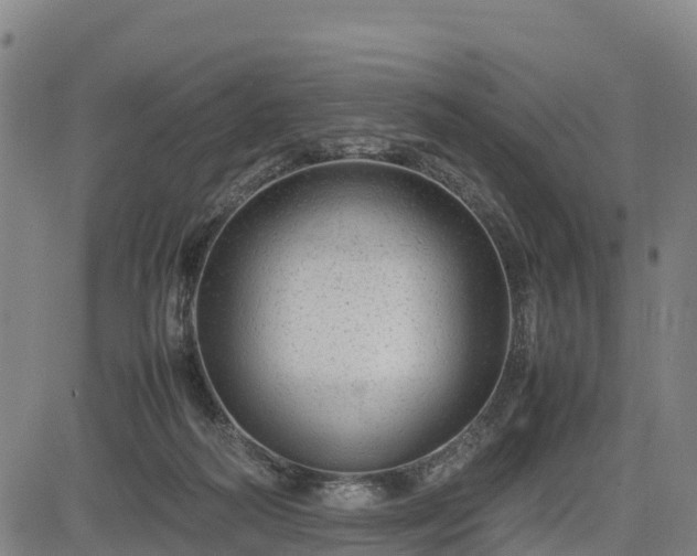 X0000085050218200703121507