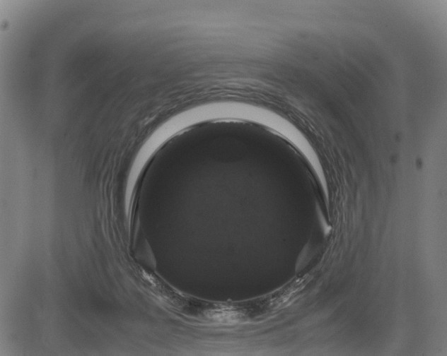 X0000085050219200703121507