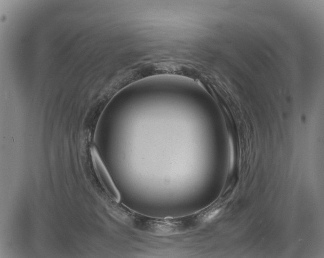 X0000085050229200703121507