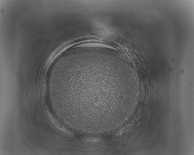 X0000085050247200703121506