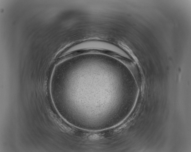 X0000085050249200703121506