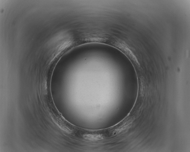 X0000085050251200703121506